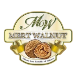 cropped 630c34e2 2030 4da8 9bcb 07aef3912e89 2.png