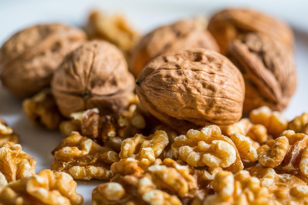 services-02 walnut, nut, walnuts, nuts, walnut, walnut, walnut, walnut, walnut, walnuts, walnuts, walnuts, walnuts, nuts