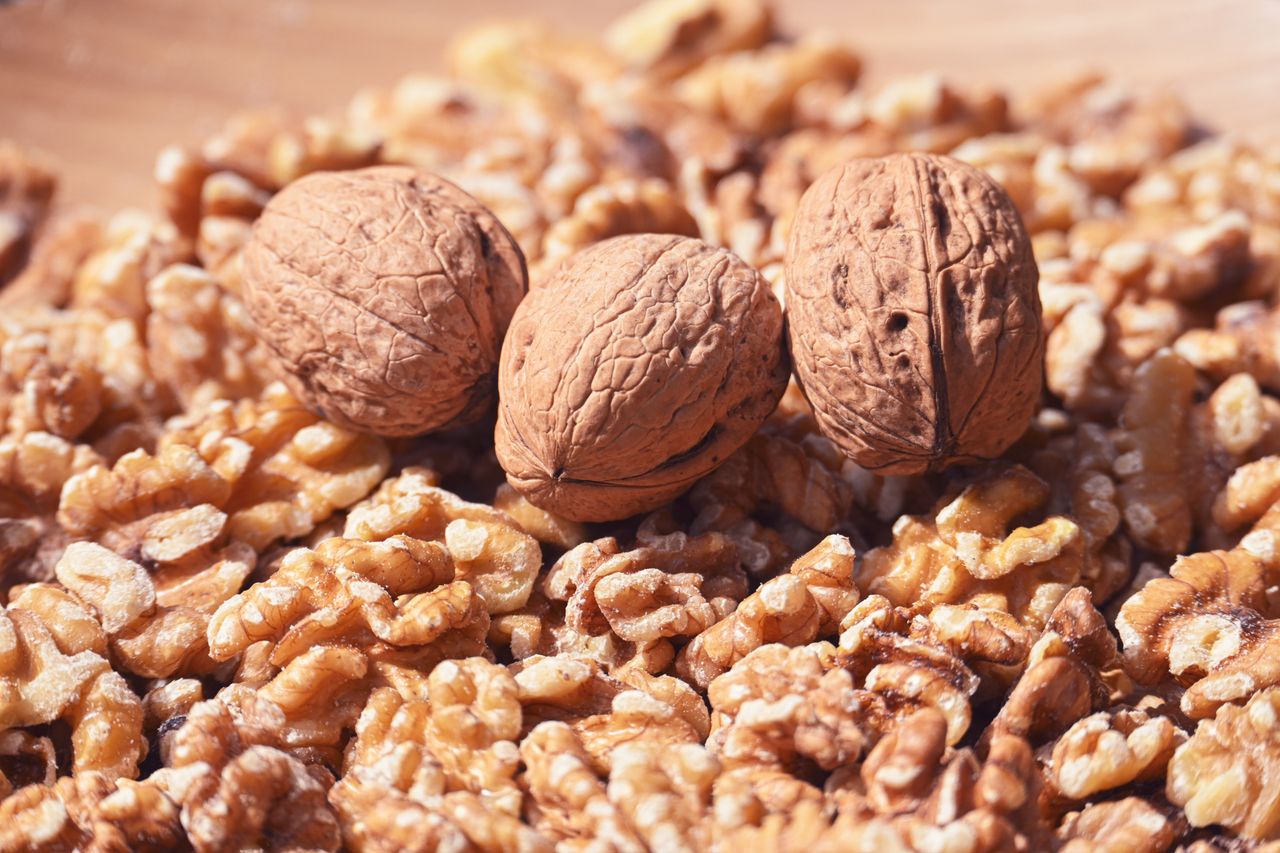 services-01 Detailed image of walnuts in shell surrounded by shelled walnut halves, emphasizing natural textures.